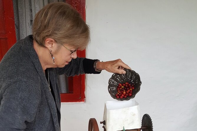 Private coffee tour near Medellín, from bean to cup. - The practical stuff that can make or break your day
