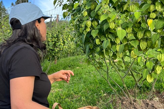Private Day of Immersion in Country Life with Food - Price and value: why $65 can make sense for this kind of day