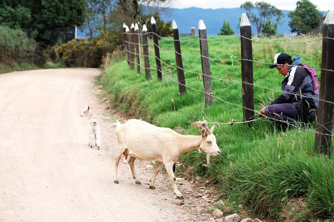 Private Day Trip to Traditional Towns Around Bogotá (9 Hrs.) - Lunch and food: what you get, and how to handle alcohol plans