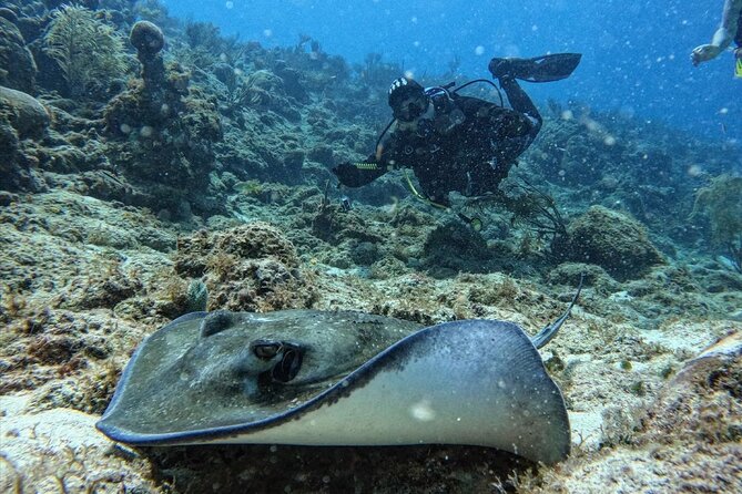 Private Diving Experience for Beginners in San Andres Islands - Key highlights you’ll feel right away
