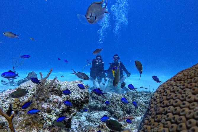 Private Diving Experience for Beginners in San Andres Islands - From briefing to shallow skills: what happens at about 2 meters