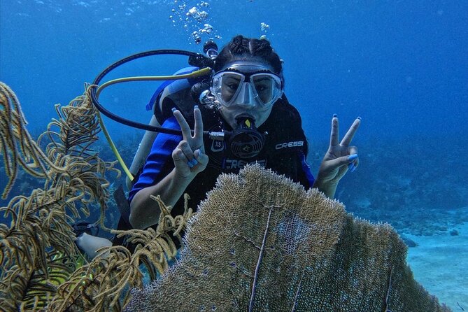 Private Diving Experience for Beginners in San Andres Islands - Who this suits best in San Andrés