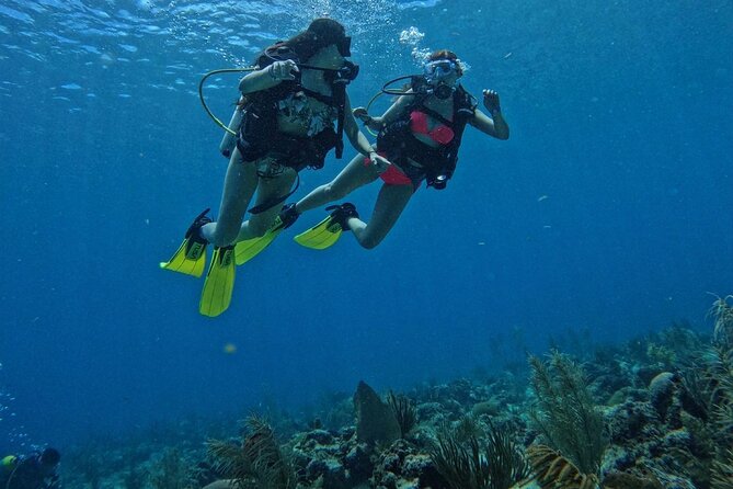 Private Diving Experience for Beginners in San Andres Islands - The main underwater part: 6 to 12 meters with a real sightseeing window