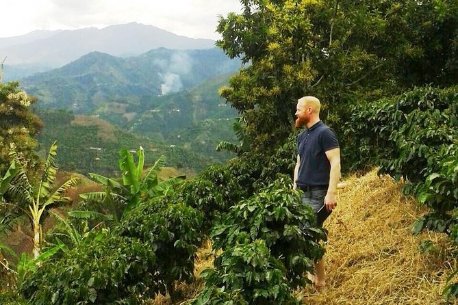 Private Full-Day Coffee Tour to Palmitas farm near Medellín - 9:00 AM Pickup and the San Sebastián Gondola Break