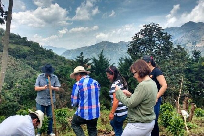 Private Half-Day Coffee Tour at Family Farm Close to Medellín! - Key Highlights You’ll Notice Fast