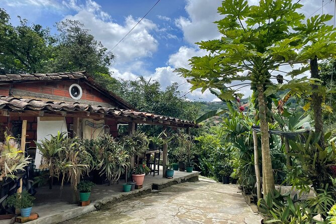 Private Half-Day Coffee Tour at Family Farm Close to Medellín! - The Processing Walk: From Coffee Plant to Cup