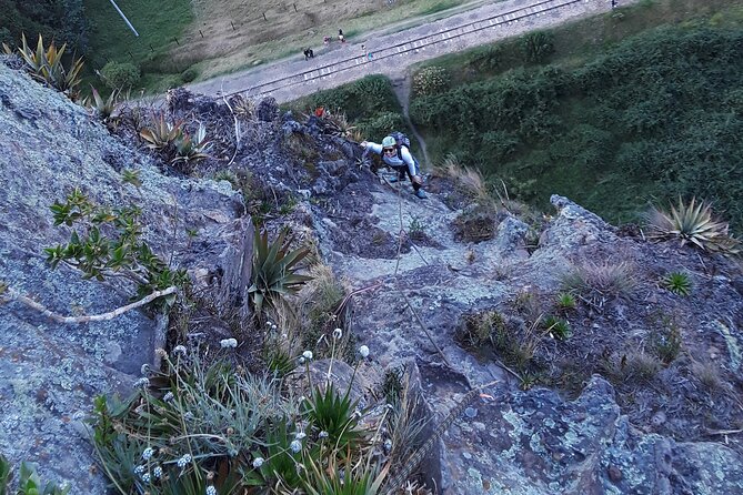 Private Half-day Rock Climbing Experience in the Suesca Rocks - What the climbing can feel like: adrenaline with real coaching