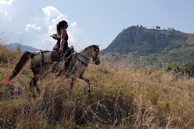 Private Horseback Riding Tour around Cattle Ranch from Medellin - Why horseback time near Medellín feels different from the city