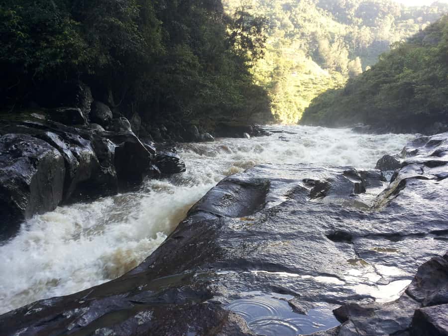 Private Jeep Tour to the Surroundings of San Agustín - Key things to look forward to