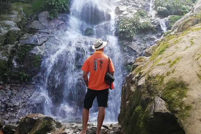 Private La Victoria Coffee Tour - Waterfalls & Sierra Nevada - Pozo Azul waterfall: early swim time at a jungle favorite
