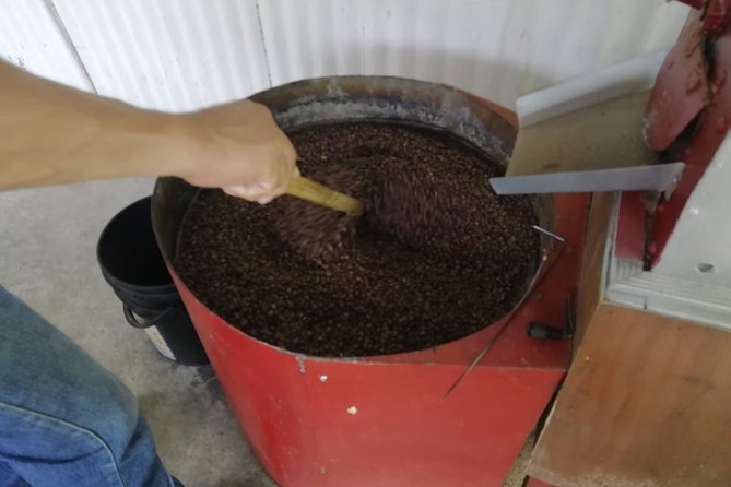 Private La Victoria Coffee Tour - Waterfalls & Sierra Nevada - Guides, comfort, and the private-tour advantage you actually feel