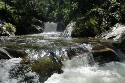Private La Victoria Coffee Tour – Waterfalls & Sierra Nevada