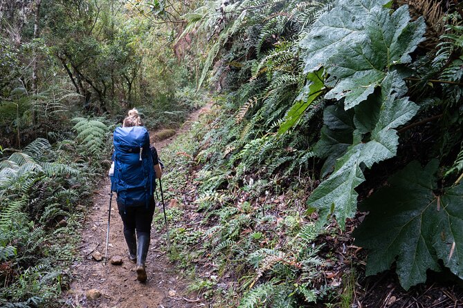 Private Summit of Nevado Tolima 4 Day All Inclusive Hike - Day 1 in Los Nevados National Park: 11 km to a 3,550 m Farm Night