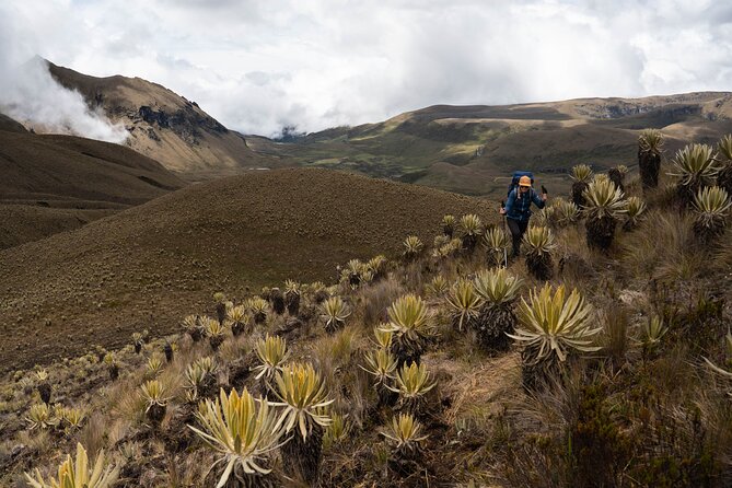Private Summit of Nevado Tolima 4 Day All Inclusive Hike - Day 3 The Big One: 1:00 a.m. Climb to Nevado del Tolima Summit and Sunrise