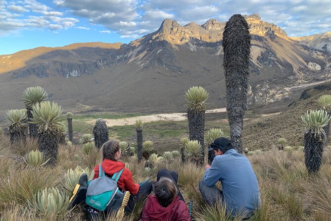Private Summit of Nevado Tolima 4 Day All Inclusive Hike - Day 4 Back Through Cocora Valley: Wax Palms, Lunch, and a Different Trail Home