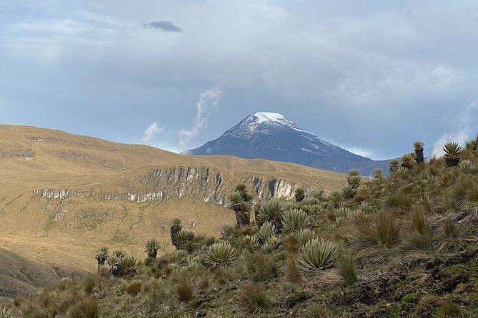 Private Summit of Nevado Tolima 4 Day All Inclusive Hike - Guides and Safety: Organized Logistics So You Can Focus on Walking