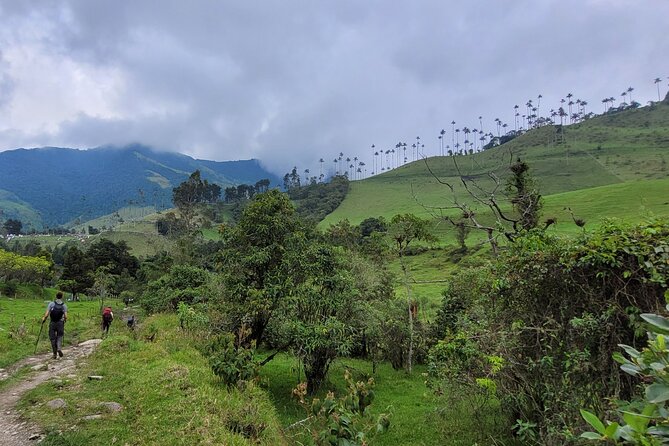 Private Summit of Nevado Tolima 4 Day All Inclusive Hike - Day 2 Into the Paramo: Reach 4,000 m, Sleep at 3,600 m