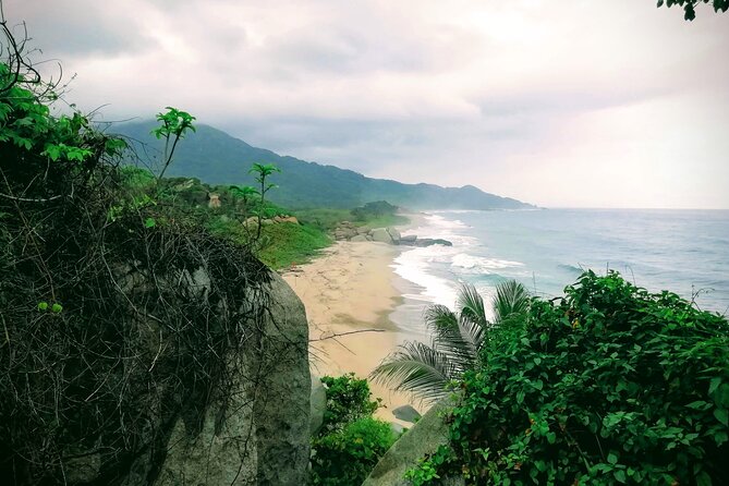 Private Tayrona Park Hike to Cabo San Juan - The Return Through the Jungle, Plus the Horse Option