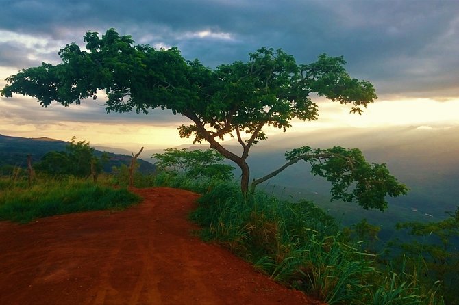 Private Tour - Barichara (Culture) - Private Tour Value: Price, Timing, and What You Get for $260