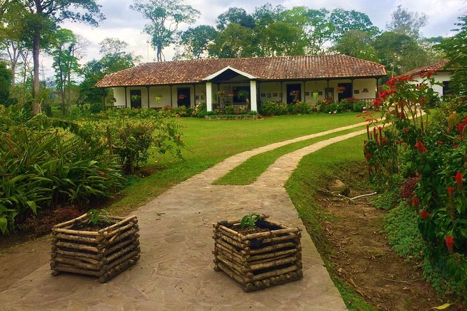 Private Tour - Coffee Tour (Cultivations) - The ride up: steep winding roads and altitude before the first sip