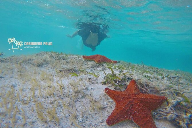 Private Tour in luxury BOAT over the sea of 7 colors - Setting Sail from San Andres for a Sea of Seven Colors Day