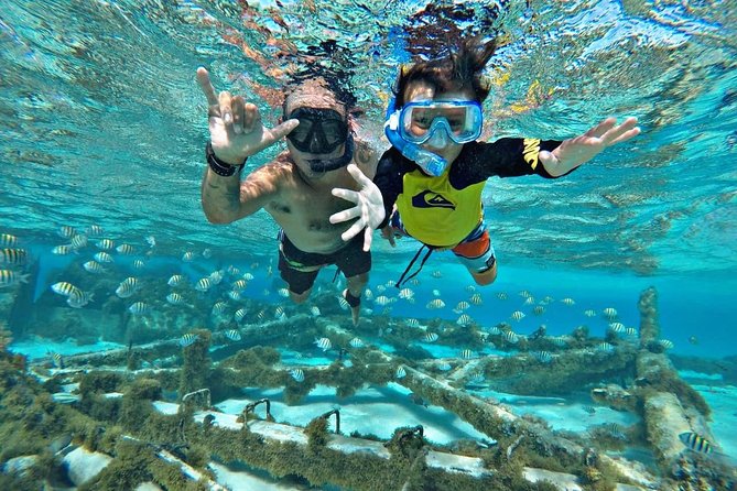 Private Tour in luxury BOAT over the sea of 7 colors - Marine World and Dock Bay Tour: More Stops, More Chances to See