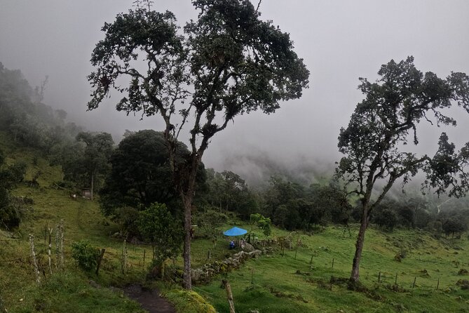 Private tour: La Chorrera highest waterfall in Colombia - Stop at La Chorrera: the waterfall, the views, and the sense of scale