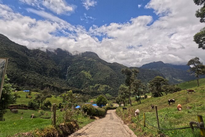 Private tour: La Chorrera highest waterfall in Colombia - Price and value: is $145 per person a good deal?