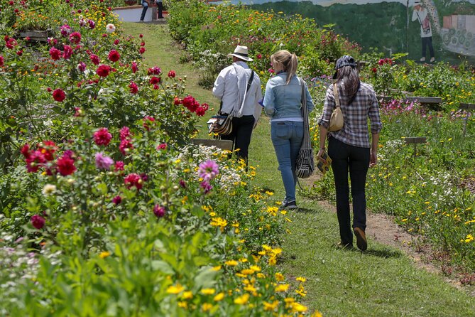 Private tour: Medellin's Flower Culture & The Silletero Tradition of Santa Elena - The Silleta Tradition Explained: More Than Flower Arranging