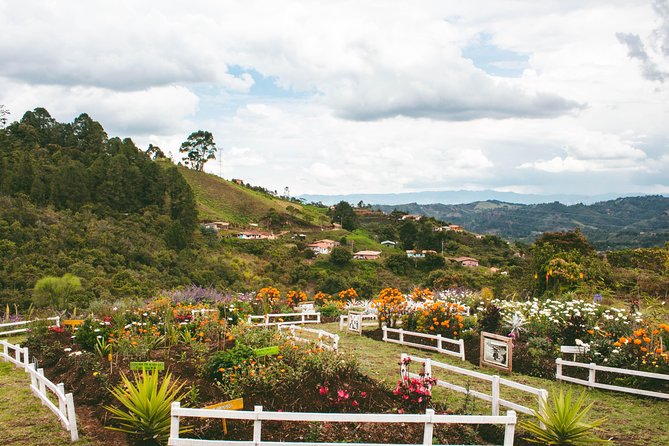 Private tour: Medellin's Flower Culture & The Silletero Tradition of Santa Elena - Stop 1 in Medellín Area: Santa Elena Farms and the Arví Reserve Context