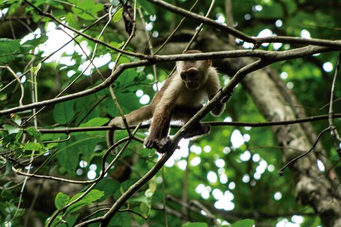 Private Tour Piedras de Donama in Sierra Nevada de Santa Marta - Route Overview: What Each Block of Time Feels Like