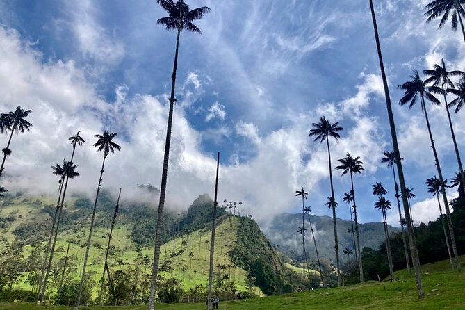 Private Tour to Cocora Valley and Salento with Transportation Included - Why Cocora Valley and Salento work so well together