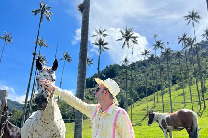 Private Tour to Cocora Valley and Salento with Transportation Included - Price check: is $96 per person good value?