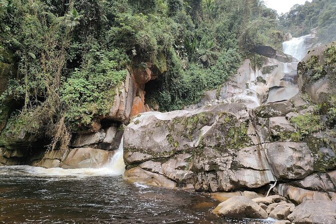 Private Tour to Jardín Town, Waterfalls, Coffee & Culture! - Medellín to Jardín Without the Crowd Problem