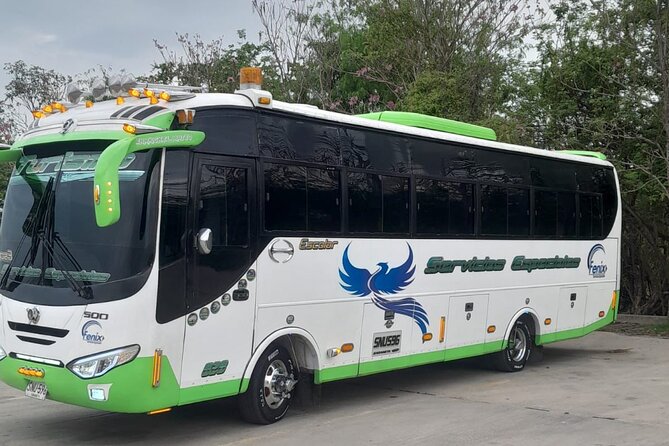 Private Transfer from Airport to Hotels in Cartagena - Hotel Drop-Off and Getting Your Bearings Fast