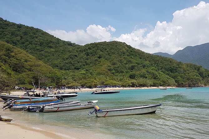 Private transfer from Cartagena to Santa Marta or viceversa - Key things to know before you ride