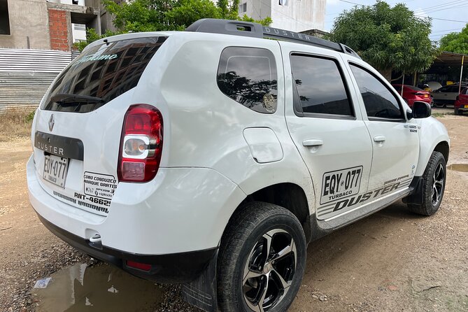 Private Transfer from the airport to your hotel. - Driver professionalism, safety, and the staff style people keep mentioning
