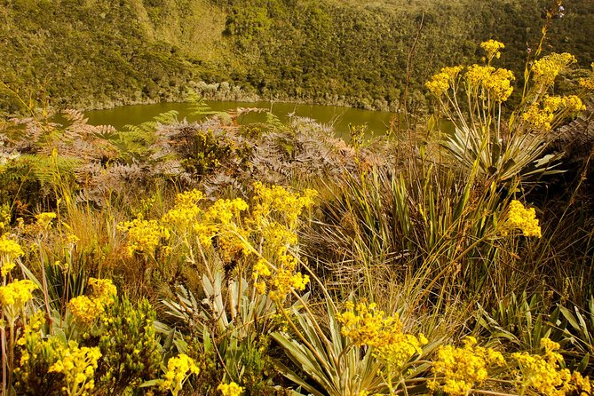 Private Zipaquira Salt Cathedral and Guatavita Lagoon Tour from Bogota - What to wear and expect on a high-elevation day with weather changes