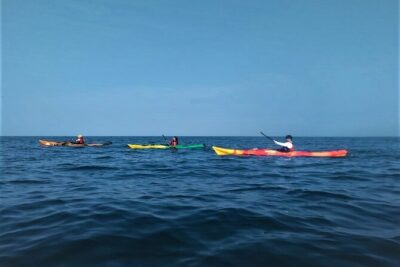 Punta Arena Excursion Kayak