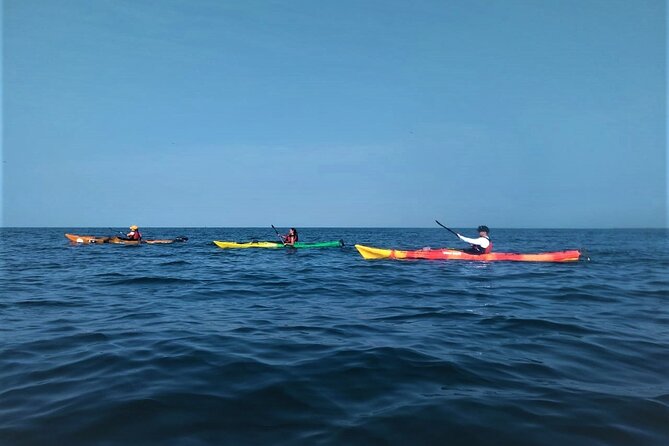 Punta Arena Excursion Kayak - Meeting at Karib Kayak and Paddle Center in Castillogrande