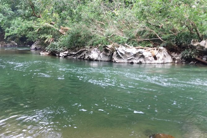 Rio Claro Jungle River Private Tour from Medellín - Wildlife and birdlife: what you can realistically spot