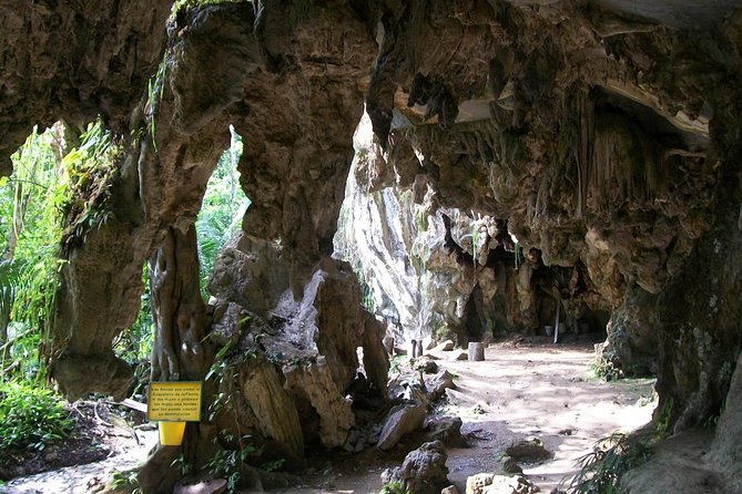 Rio Claro Jungle River Private Tour from Medellín - Canon del Rio Claro: what the river hike feels like on the ground