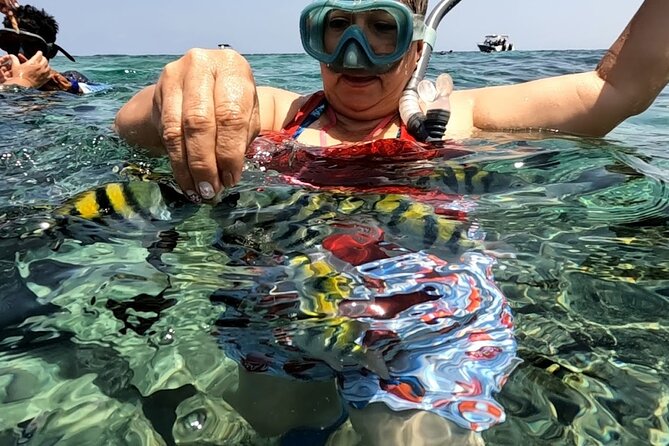 Rosario Islands and Playa Blanca Tour with Snorkeling or Aquarium - Snorkeling over the Rosario reef: corals, fish, and real water time