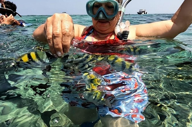Rosario Islands and Playa Blanca Tour with Snorkeling or Aquarium - Who should book this Rosario and Playa Blanca tour, and who should skip
