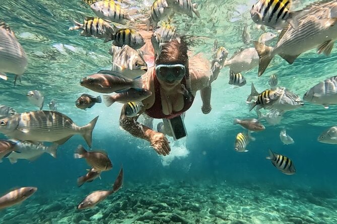 Rosario Islands and Playa Blanca Tour with Snorkeling or Aquarium - Playa Blanca in Barú at Playa Tranquila: beach beds, lunch, and time to slow down