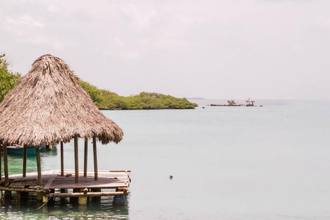 Rosario Islands Day Trip: Snorkel & Sunbathe at Isla del Sol - Isla del Sol beach time: private calm, small shoreline, and a real place to relax