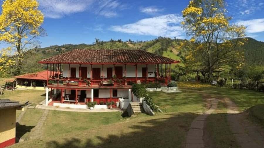 Salento and Cócora Tour + Coffee Farm from Pereira/Armenia - Key moments that make this tour worth your time