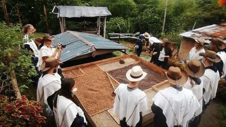 Salento and Cócora Tour + Coffee Farm from Pereira/Armenia - Salento on the clock: streets, local life, and fast culture
