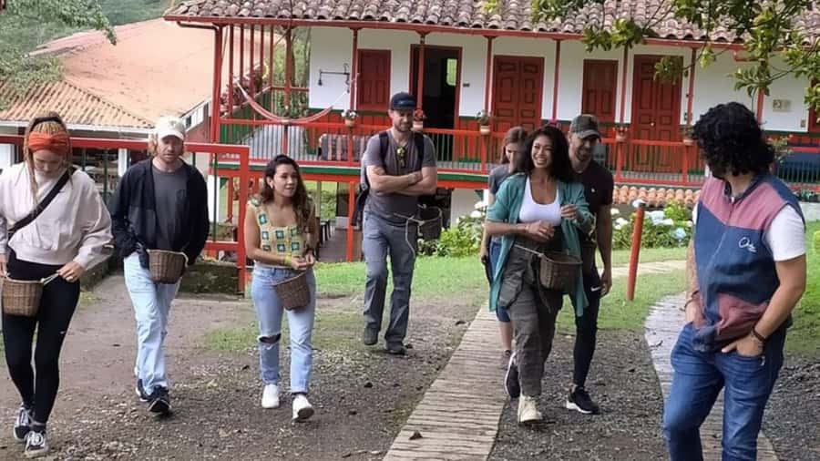Salento and Cócora Tour + Coffee Farm from Pereira/Armenia - Price and value: does $173 make sense for Salento and Cocora?