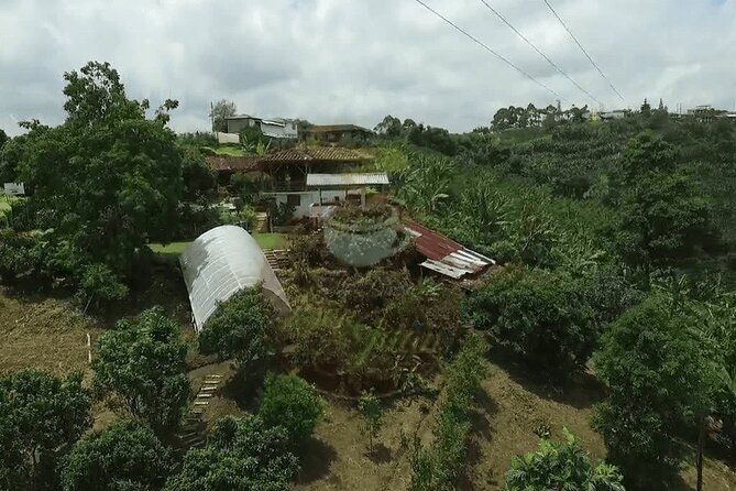 Salento and Cócora Tour plus Coffee Farm from Pereira or Armenia - From Pereira or Armenia: Transport that actually saves your day